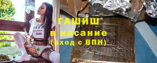 прущие грибы Коряжма