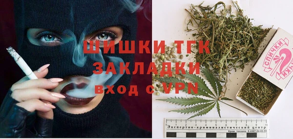 ALPHA PVP Козельск
