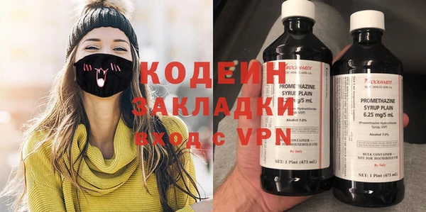 прущие грибы Коряжма