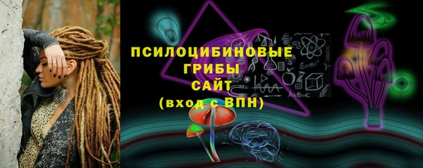 прущие грибы Коряжма
