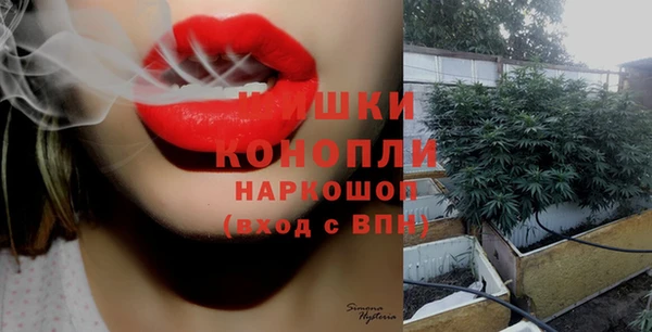ALPHA PVP Козельск