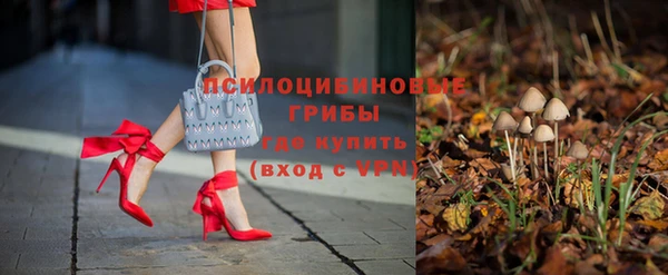 ALPHA PVP Козельск