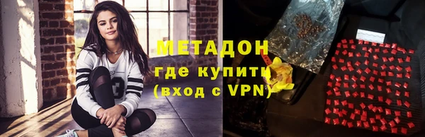прущие грибы Коряжма